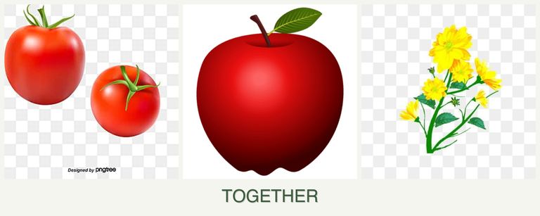 Can you plant tomatoes, apples and calendula together?