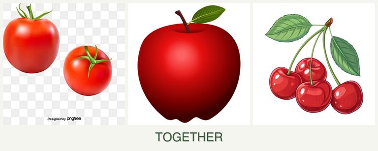 Can you plant tomatoes, apples and cherries together?