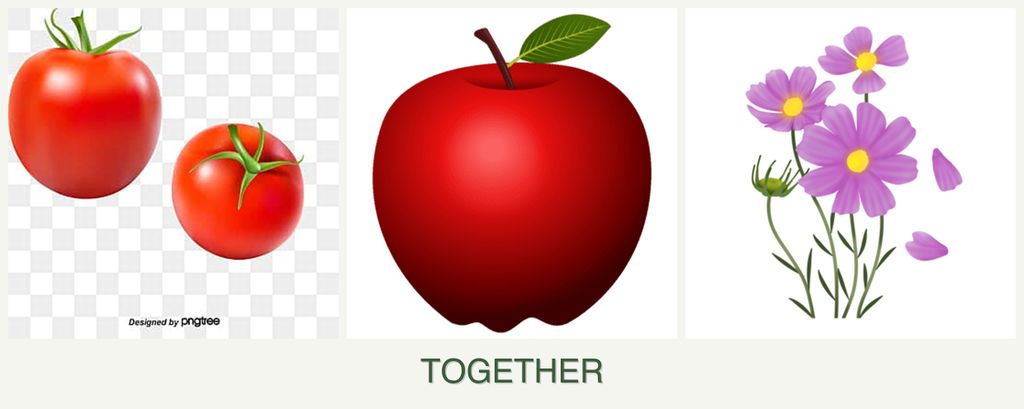 Can you plant tomatoes, apples and cosmos together?