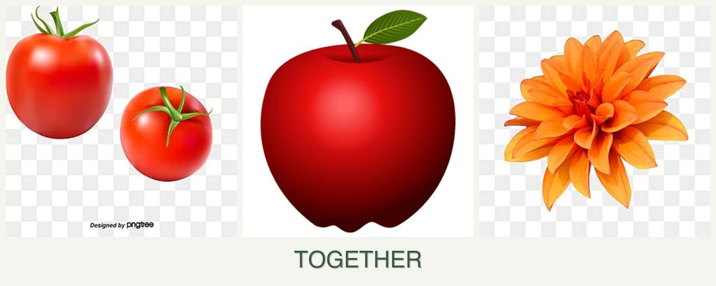 Can you plant tomatoes, apples and dahlias together?
