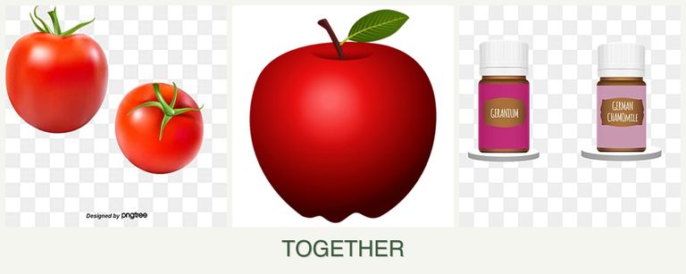 Can you plant tomatoes, apples and geraniums together?