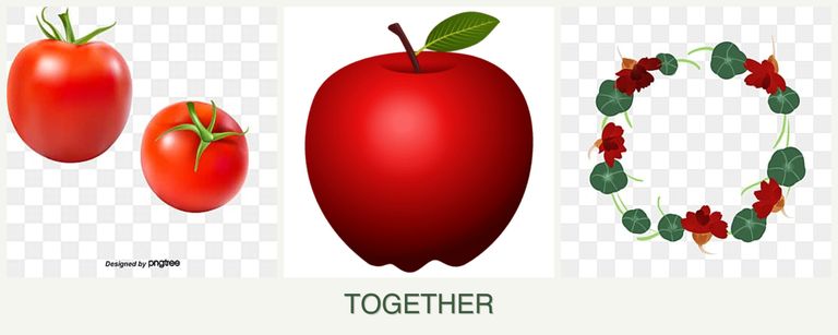 Can you plant tomatoes, apples and nasturtiums together?