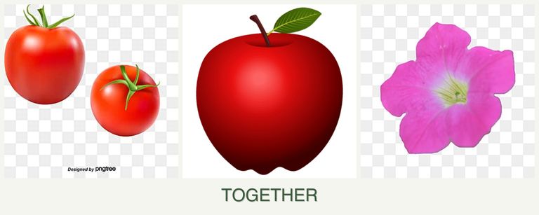 Can you plant tomatoes, apples and petunias together?