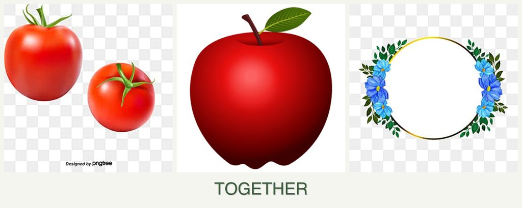 Can you plant tomatoes, apples and zinnias together?