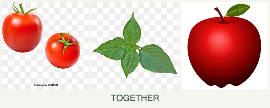 Can you plant tomatoes, basil and apples together?