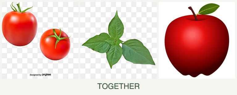 Can you plant tomatoes, basil and apples together?