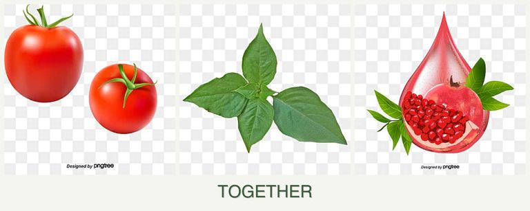 Can you plant tomatoes, basil and pomegranates together?