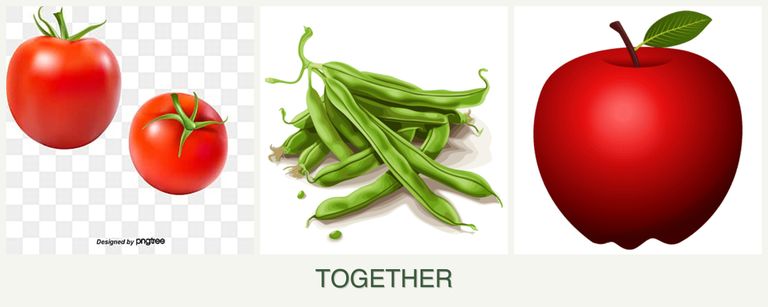 Can you plant tomatoes, beans and apples together?