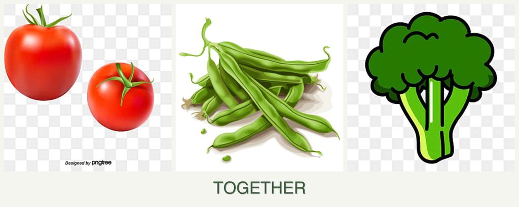 Can you plant tomatoes, beans and broccoli together?