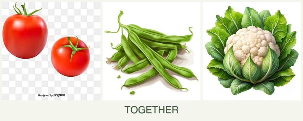 Can you plant tomatoes, beans and cauliflower together?