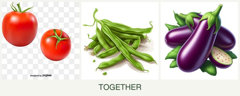 Can you plant tomatoes, beans and eggplant together?