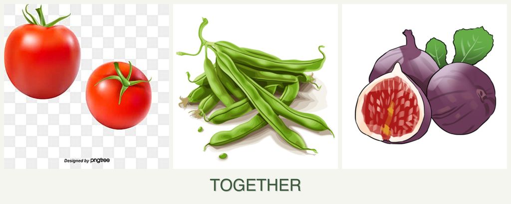 Can you plant tomatoes, beans and figs together?