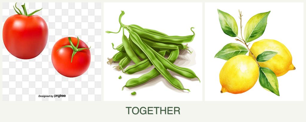 Can you plant tomatoes, beans and lemons together?