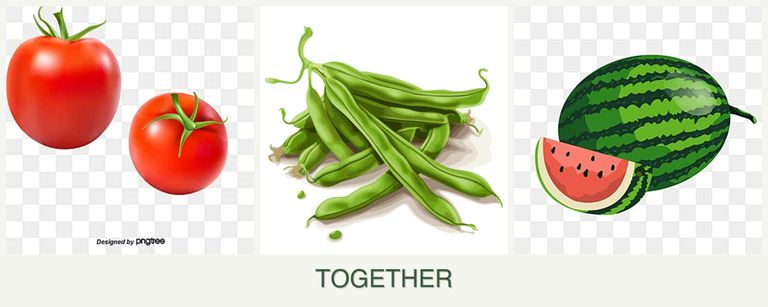 Can you plant tomatoes, beans and melons together?