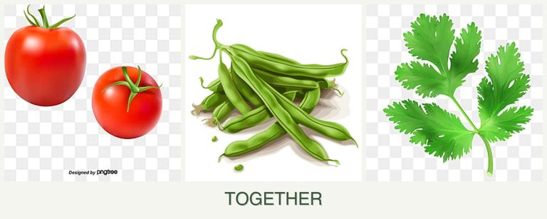 Can you plant tomatoes, beans and parsley together?