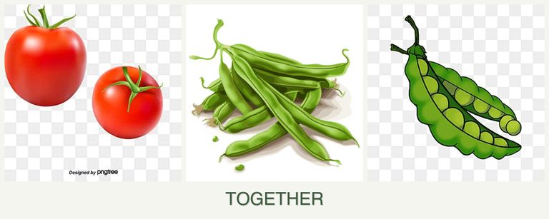 Can you plant tomatoes, beans and peas together?