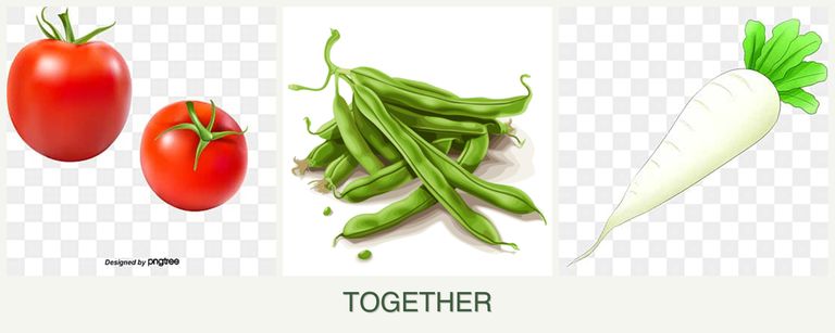 Can you plant tomatoes, beans and radishes together?