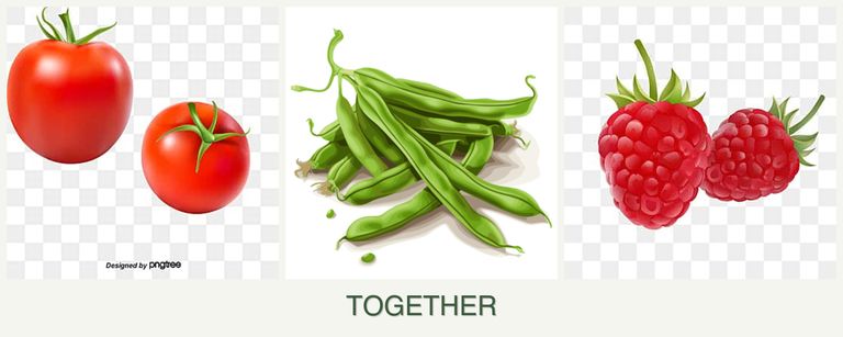 Can you plant tomatoes, beans and raspberries together?