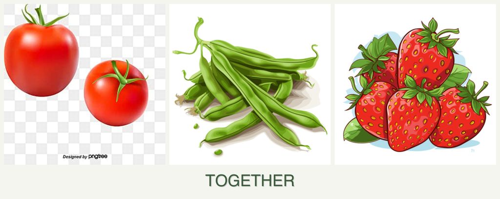 Can you plant tomatoes, beans and strawberries together?