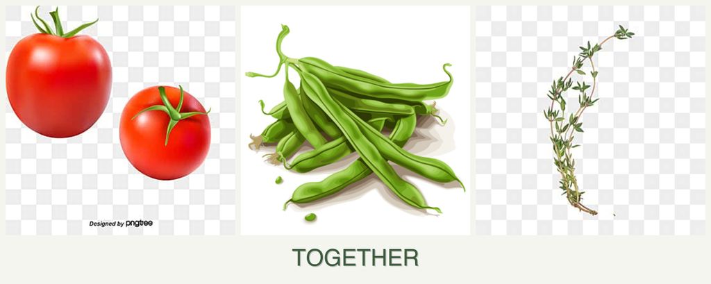 Can you plant tomatoes, beans and thyme together?