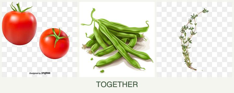 Can you plant tomatoes, beans and thyme together?