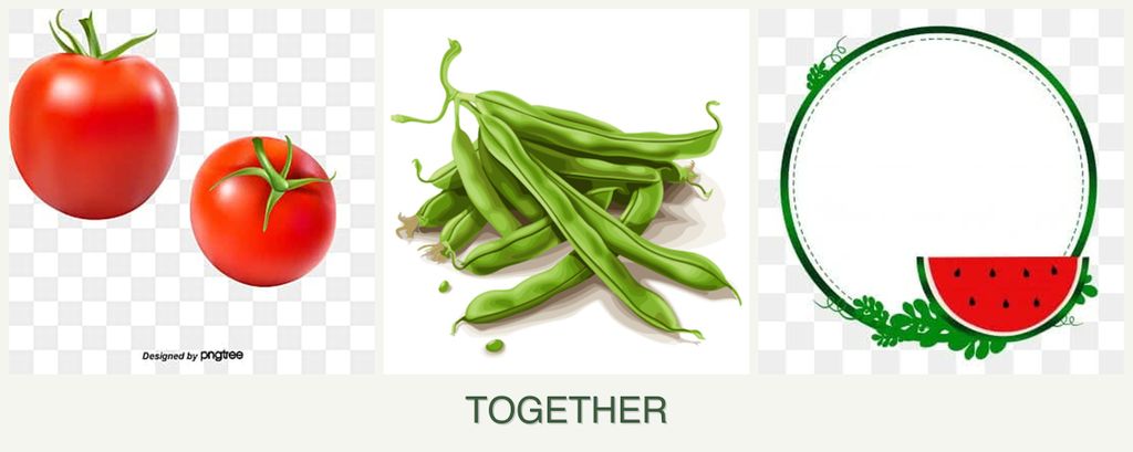 Can you plant tomatoes, beans and watermelons together?