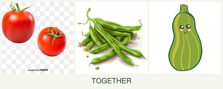 Can you plant tomatoes, beans and zucchini together?