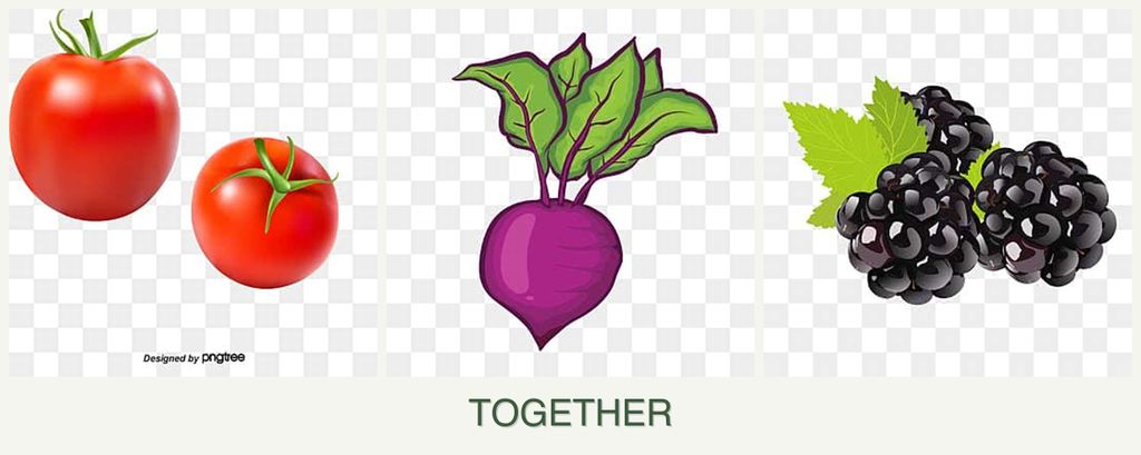 Can you plant tomatoes, beets and blackberries together?