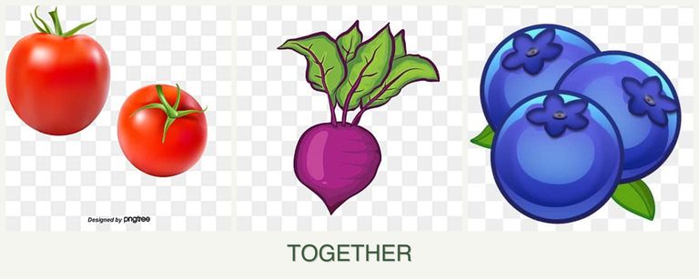 Can you plant tomatoes, beets and blueberries together?