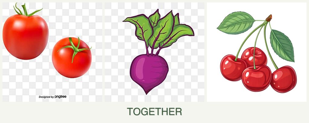 Can you plant tomatoes, beets and cherries together?