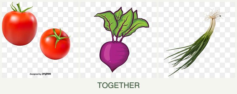 Can you plant tomatoes, beets and chives together?