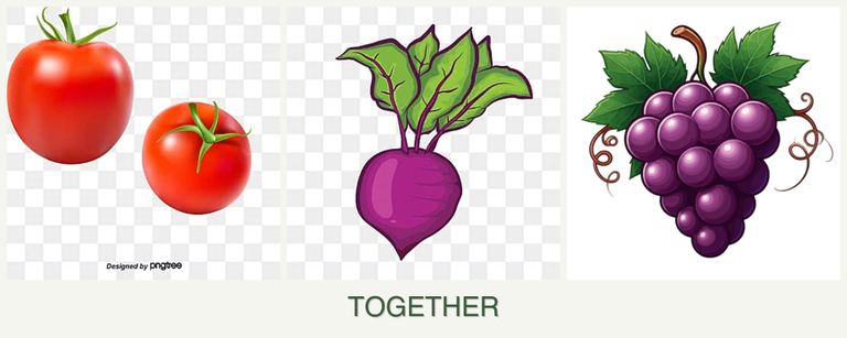 Can you plant tomatoes, beets and grapes together?