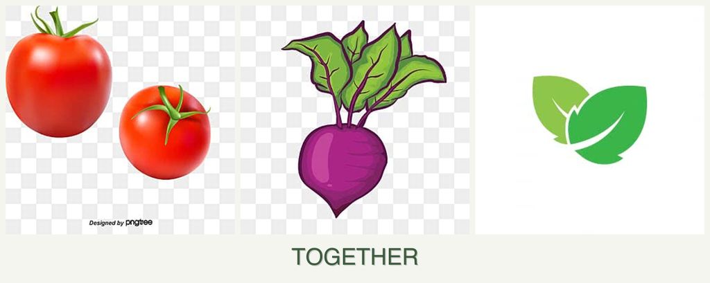 Can you plant tomatoes, beets and mint together?