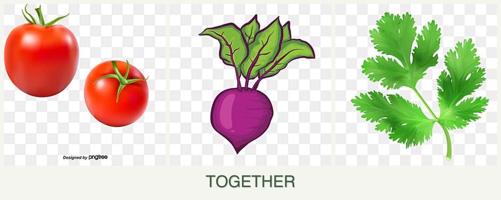Can you plant tomatoes, beets and parsley together?