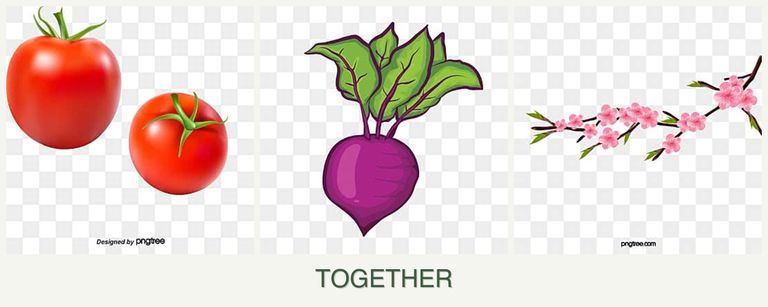 Can you plant tomatoes, beets and peaches together?