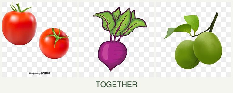 Can you plant tomatoes, beets and plums together?