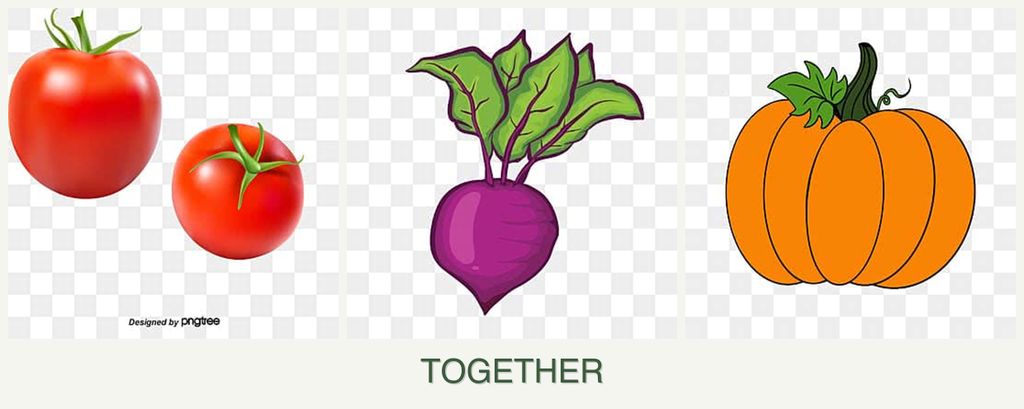 Can you plant tomatoes, beets and pumpkin together?