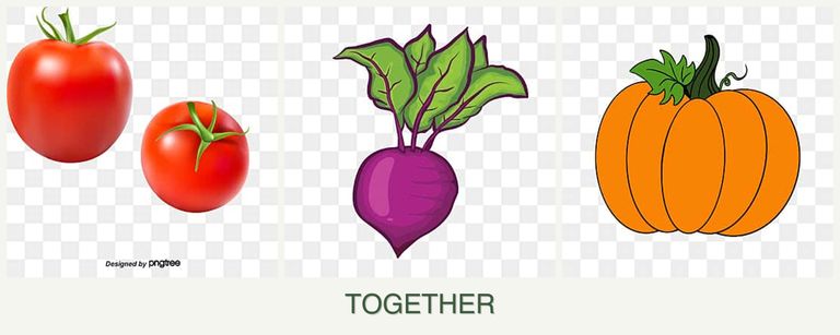 Can you plant tomatoes, beets and pumpkin together?