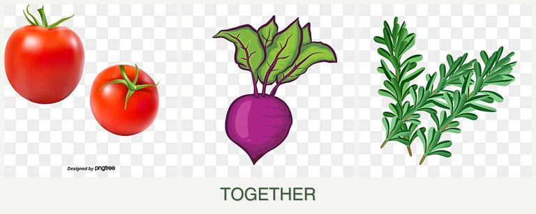 Can you plant tomatoes, beets and rosemary together?