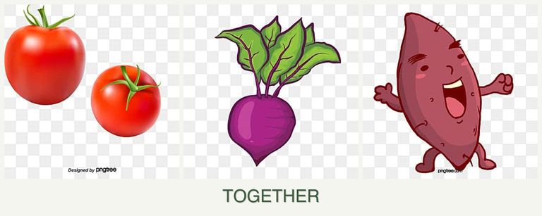 Can you plant tomatoes, beets and sweet potatoes together?