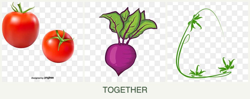 Can you plant tomatoes, beets and tarragon together?