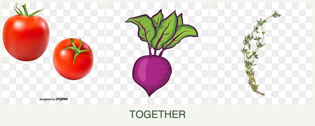 Can you plant tomatoes, beets and thyme together?
