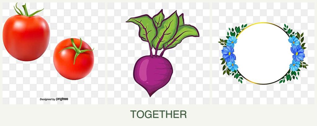 Can you plant tomatoes, beets and zinnias together?