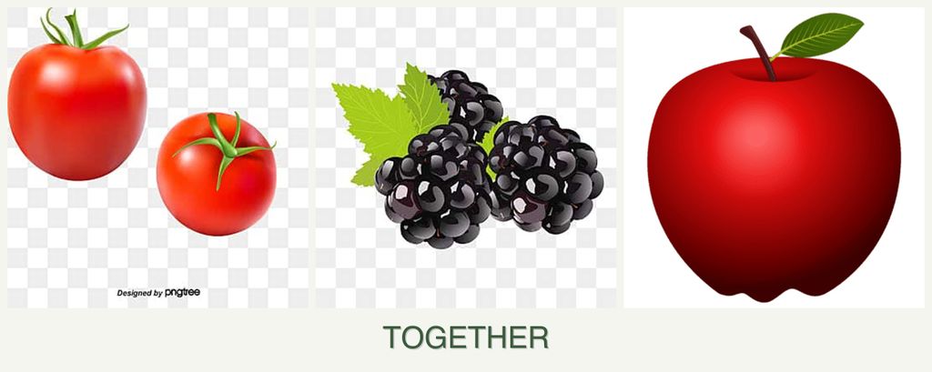 Can you plant tomatoes, blackberries and apples together?