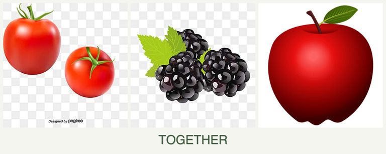 Can you plant tomatoes, blackberries and apples together?