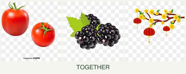 Can you plant tomatoes, blackberries and apricots together?
