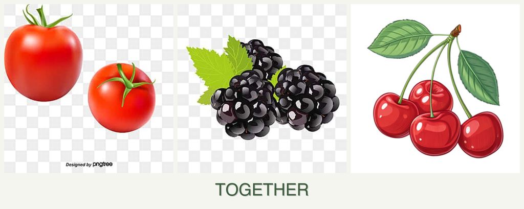 Can you plant tomatoes, blackberries and cherries together?