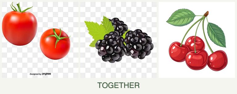 Can you plant tomatoes, blackberries and cherries together?