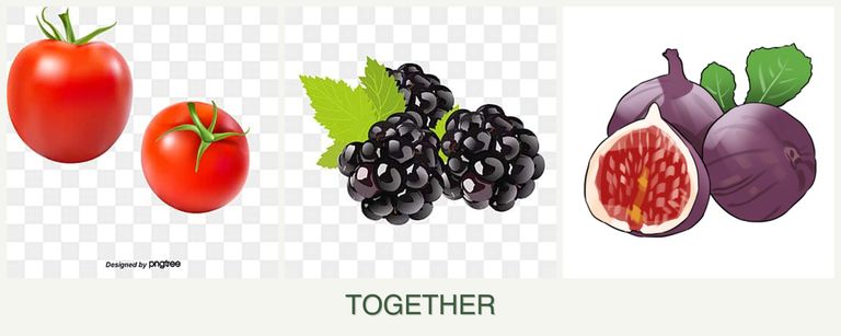 Can you plant tomatoes, blackberries and figs together?