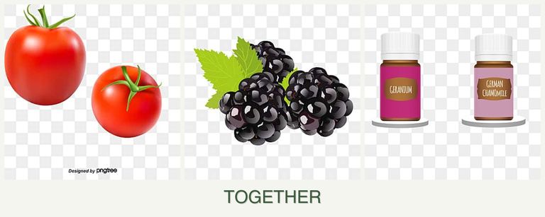 Can you plant tomatoes, blackberries and geraniums together?
